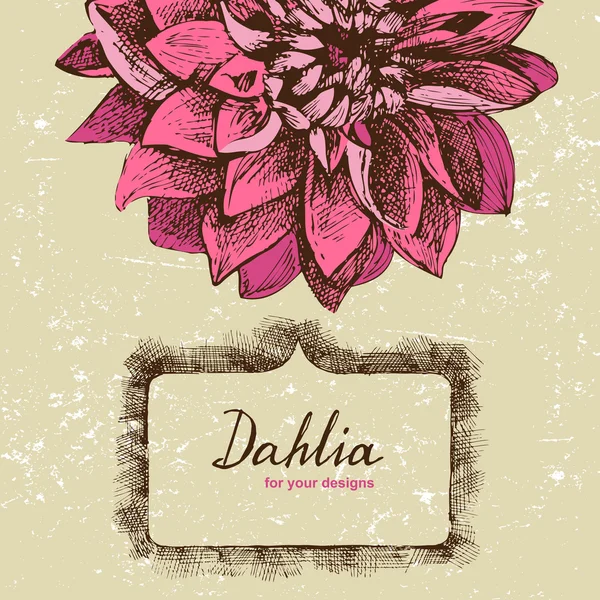 Latar belakang dengan tangan ditarik dahlia - Stok Vektor