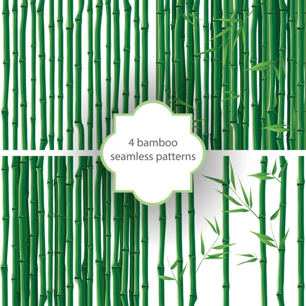 Bamboo patterns — Stock Vector