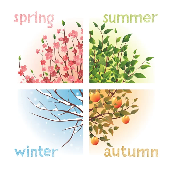 Seasons — Stock Vector