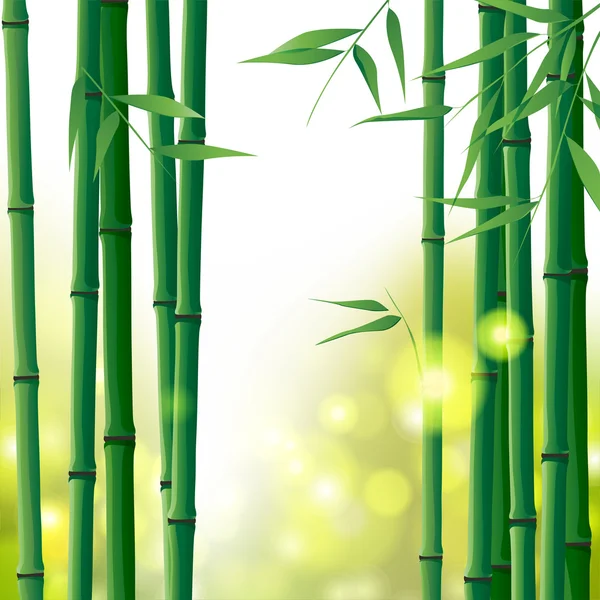 Fundo de bambu —  Vetores de Stock