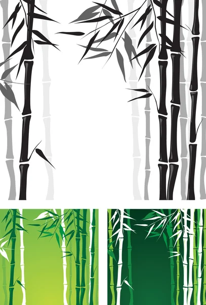 Bamboo — Stock Vector