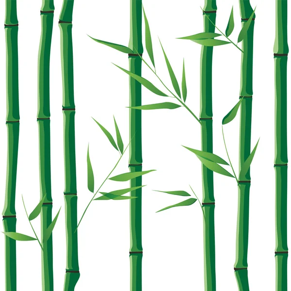 Bamboo seamless — Stock Vector