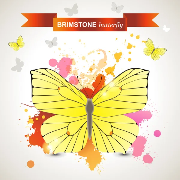 Brimstone mariposa — Vector de stock