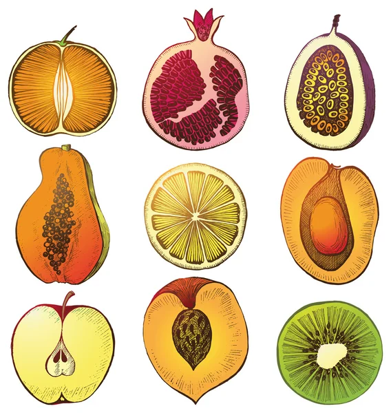 Fruits mis — Image vectorielle