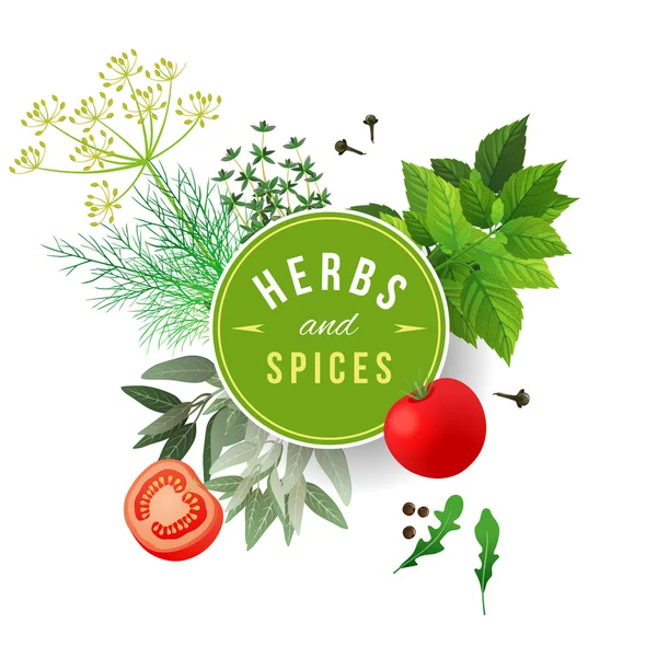 Herbes et épices — Image vectorielle