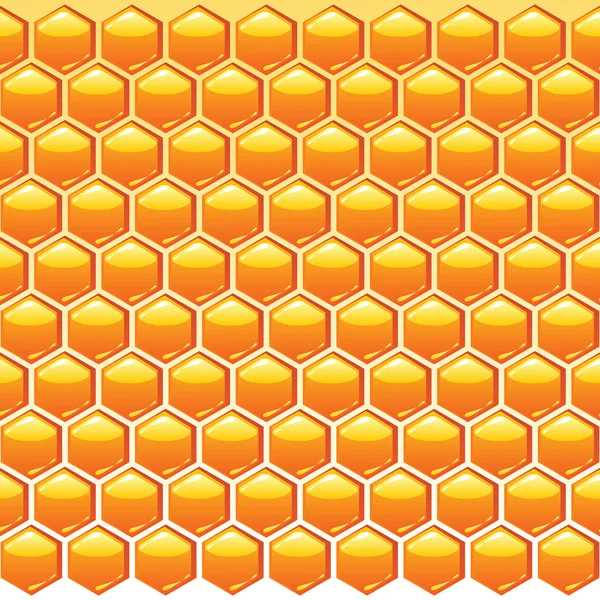 Honey background — Stock Vector