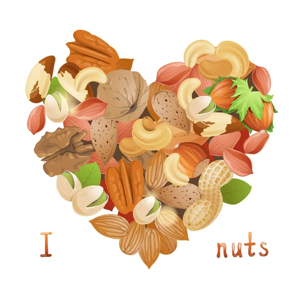 Hjärtat av nötter — Stock vektor