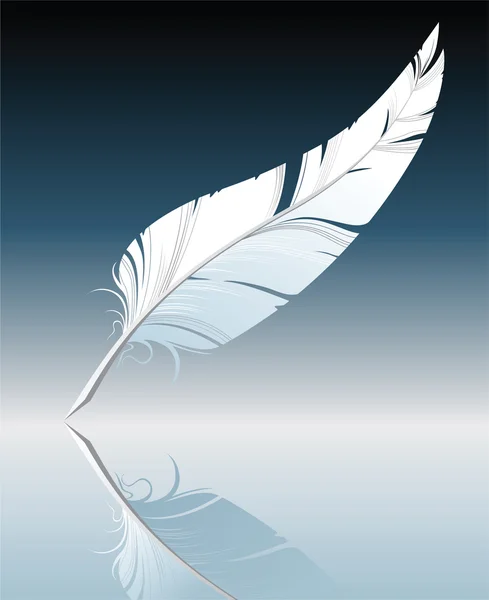 Feather — Stock Vector