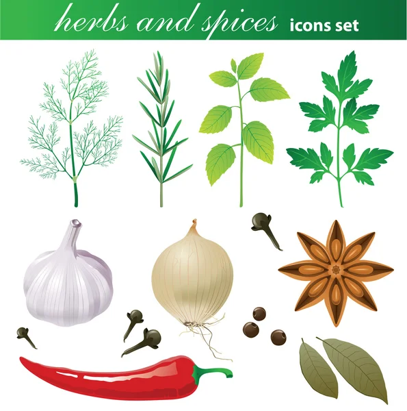 Herbs and spices set — Stock Illustration Herbs and spices set Stock Vector