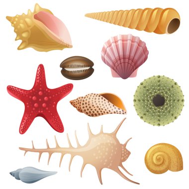 Seashell simgeler