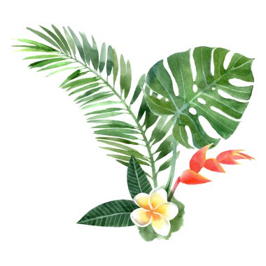 watercolor tropical plants clipart