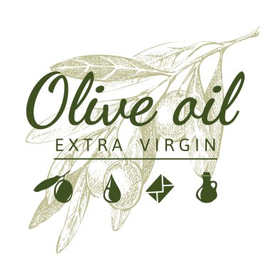 zeytin dalı logolu