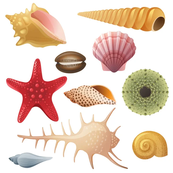 Seashell icons — Stock Vector