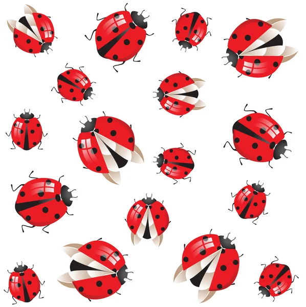 Ladybirds ile sorunsuz — Stok Vektör