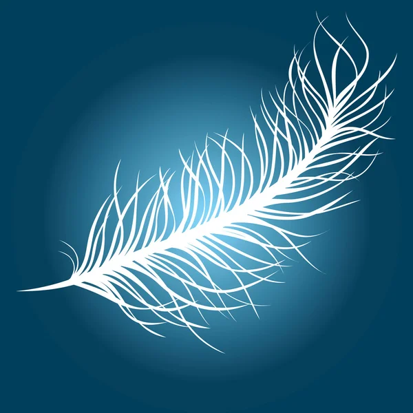 Petite plume — Image vectorielle