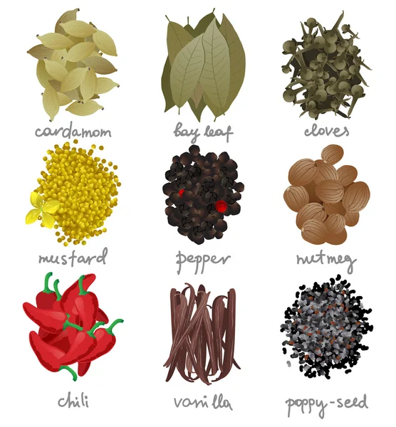 farklı baharat seti