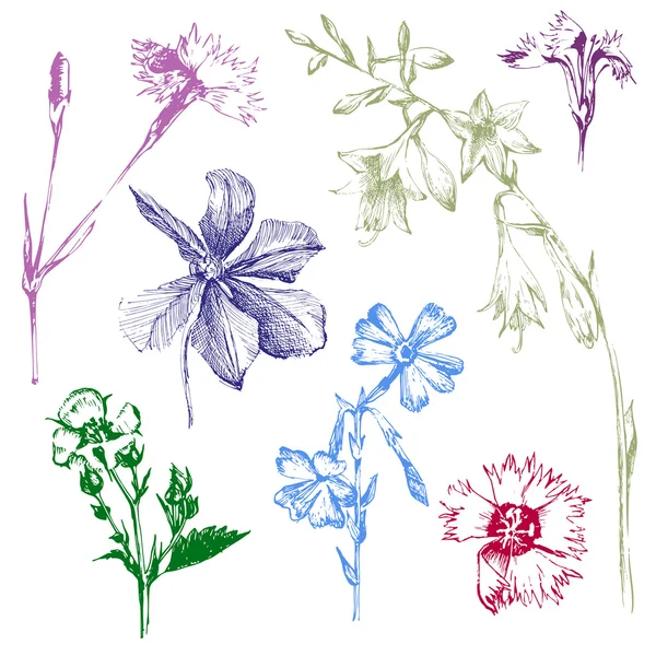 Fleurs de printemps dessinées à la main — Image vectorielle