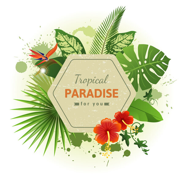 тропический фон