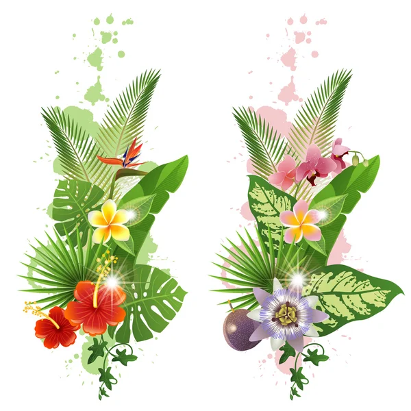 Plantas tropicales — Vector de stock