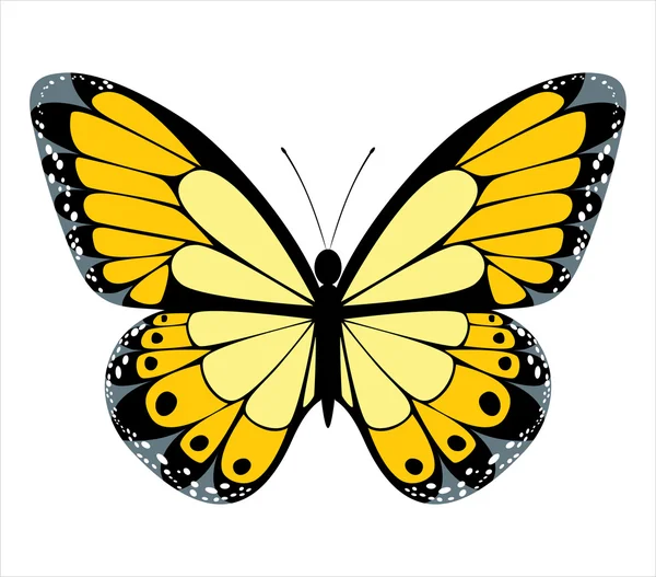 Mariposa amarilla — Vector de stock