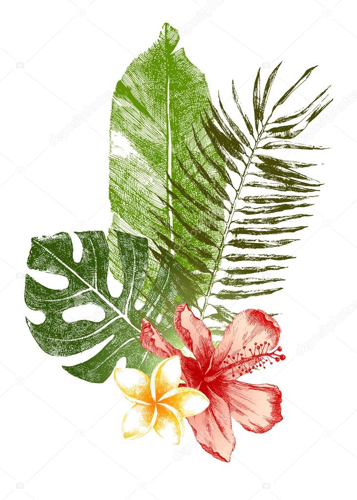 Hand drawn tropical leaves and flowers