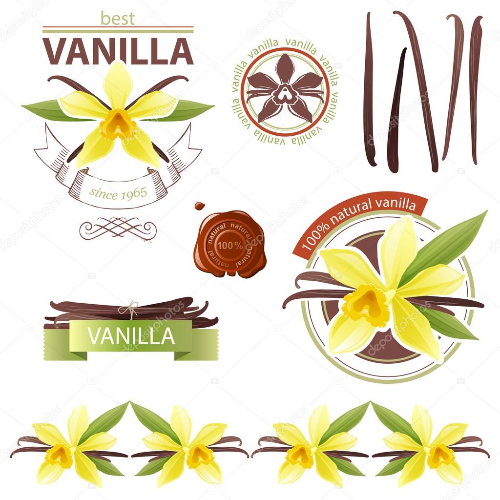 vanilla