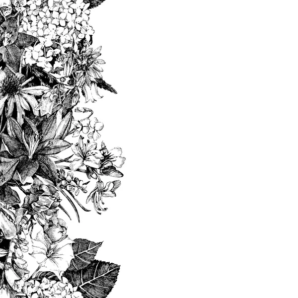 白黒 ボタニカルストックベクター ロイヤリティフリー白黒 ボタニカルイラスト Depositphotos 白黒 ボタニカルストックベクター ロイヤリティフリー白黒 ボタニカルイラスト Depositphotos