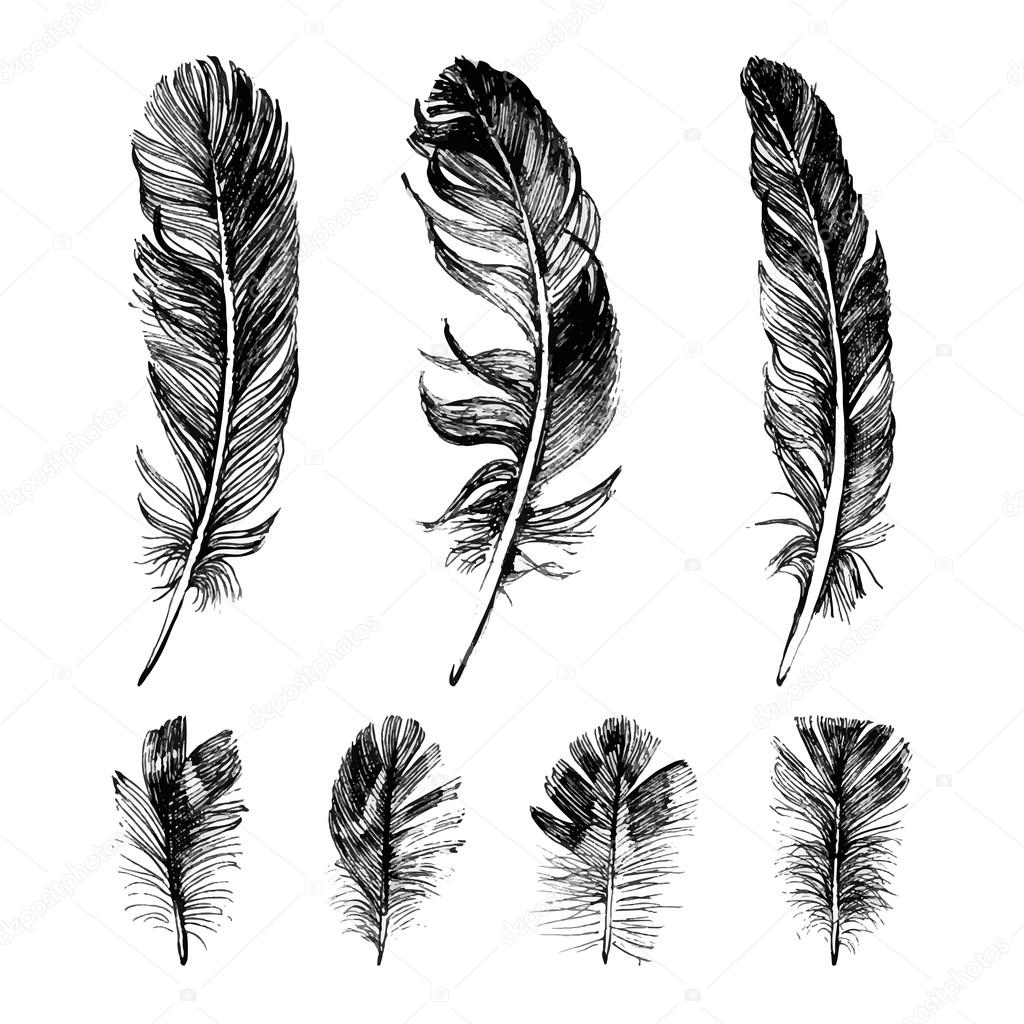 Hand drawn feathers set