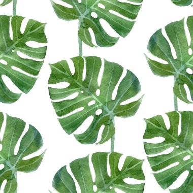 suluboya monstera yaprak seamless modeli
