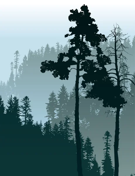 Bosque paisaje — Vector de stock