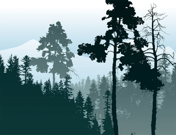 Bosque paisaje — Vector de stock