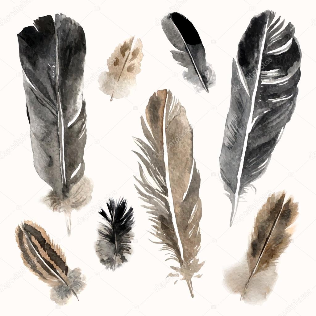 Watercolor feathers set on white background