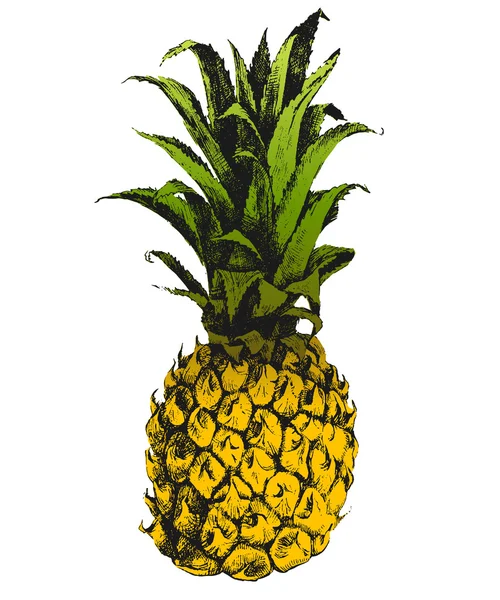 Handgezogene Ananas — Stockvektor
