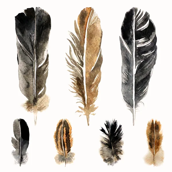 Hand drawn watercolor feathers — Stock Vector