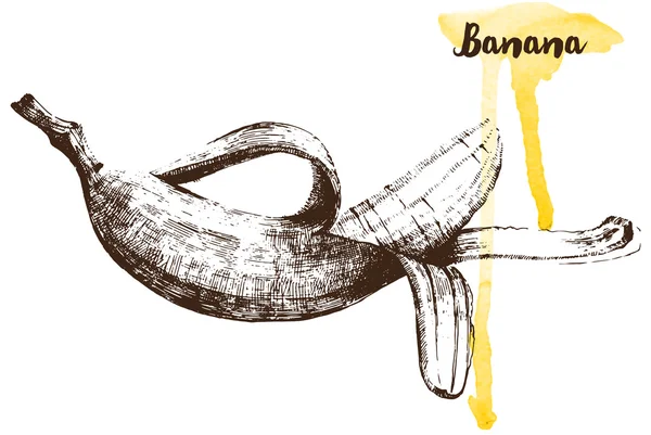 Handgezogene Banane — Stockvektor