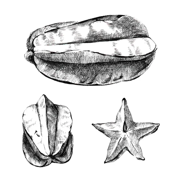 Fruta de carambola sobre fondo blanco — Archivo Imágenes Vectoriales
