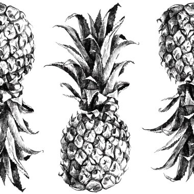 Elle çizilmiş ananas sorunsuz