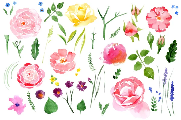 Watercolor flower set over white background