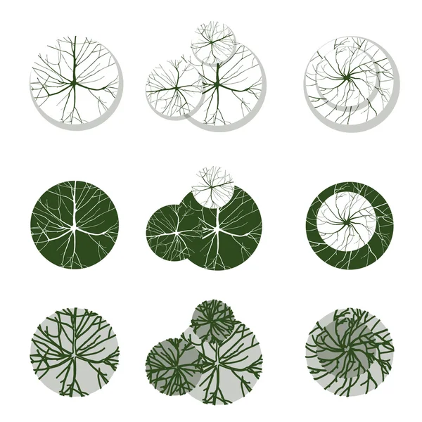 Árboles para sus propios diseños de paisaje — Archivo Imágenes Vectoriales