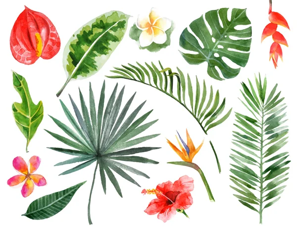 Aquarela desenhada à mão plantas tropicais — Vetor de Stock