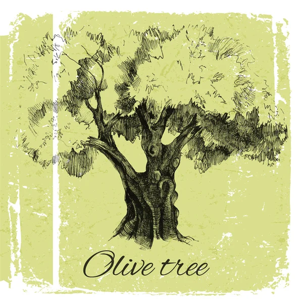 Hand drawn olive tree — Stock Vector