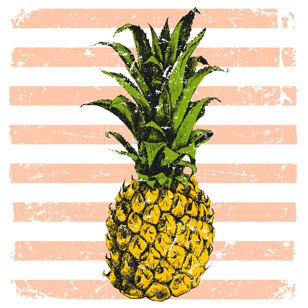 Piña dibujada a mano sobre fondo rayado — Vector de stock