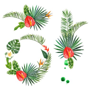 Watercolor tropical plants for your designs