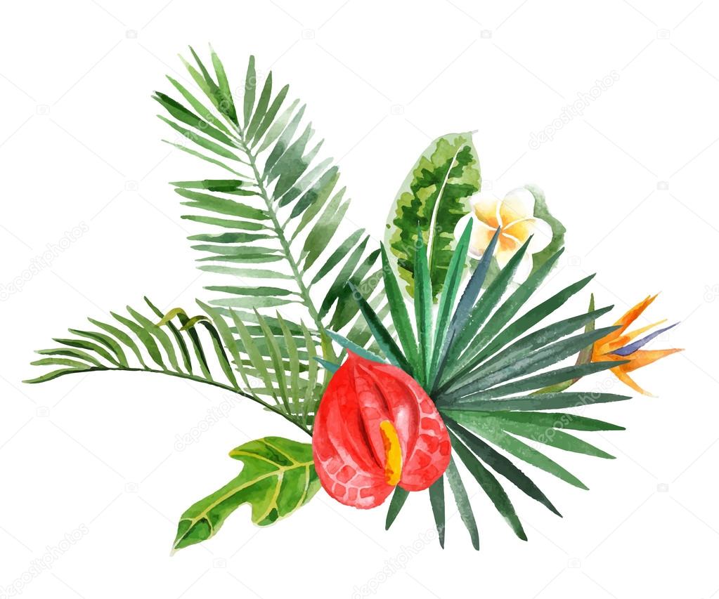 watercolor tropical plants for your designs