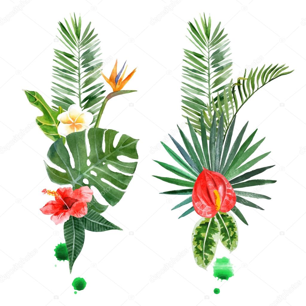 watercolor tropical plants for your designs