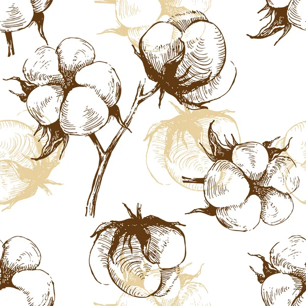 Planta de algodón dibujado a mano sin costura — Archivo Imágenes Vectoriales