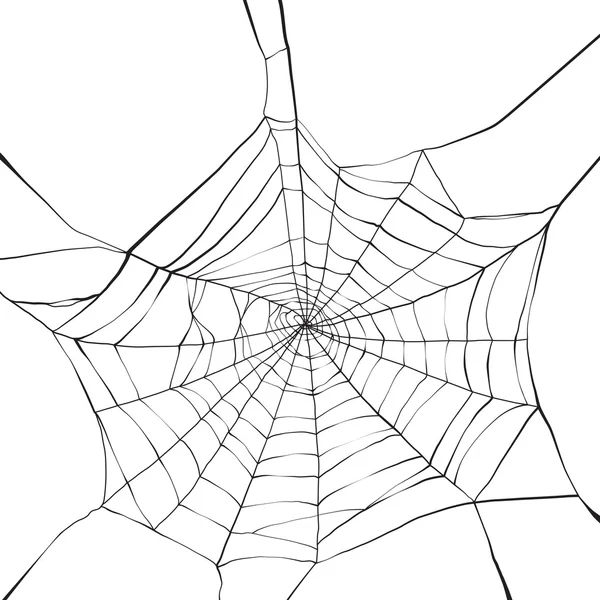 Red de araña — Vector de stock