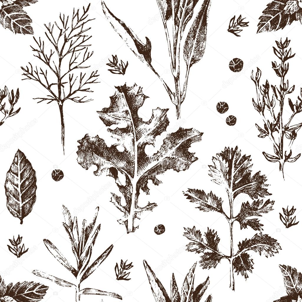 seamless pattern with hand drawn herbs and spices 