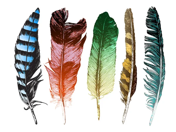 Colorful hand drawn feathers on white background — Stock Vector