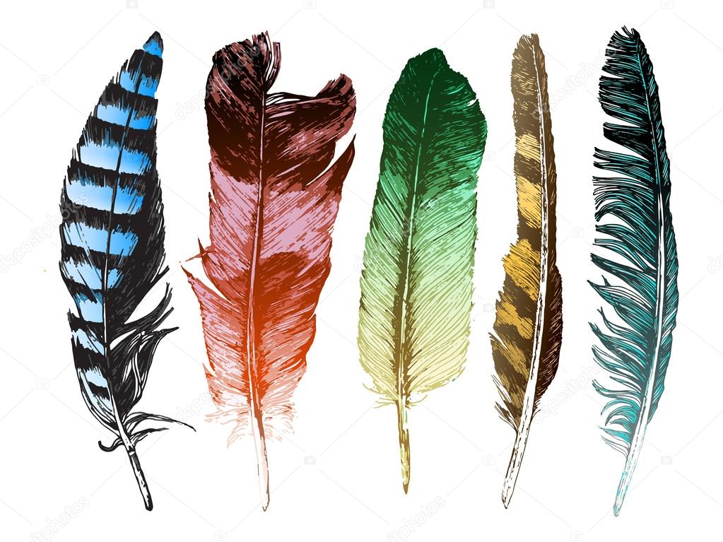 Colorful hand drawn feathers on white background